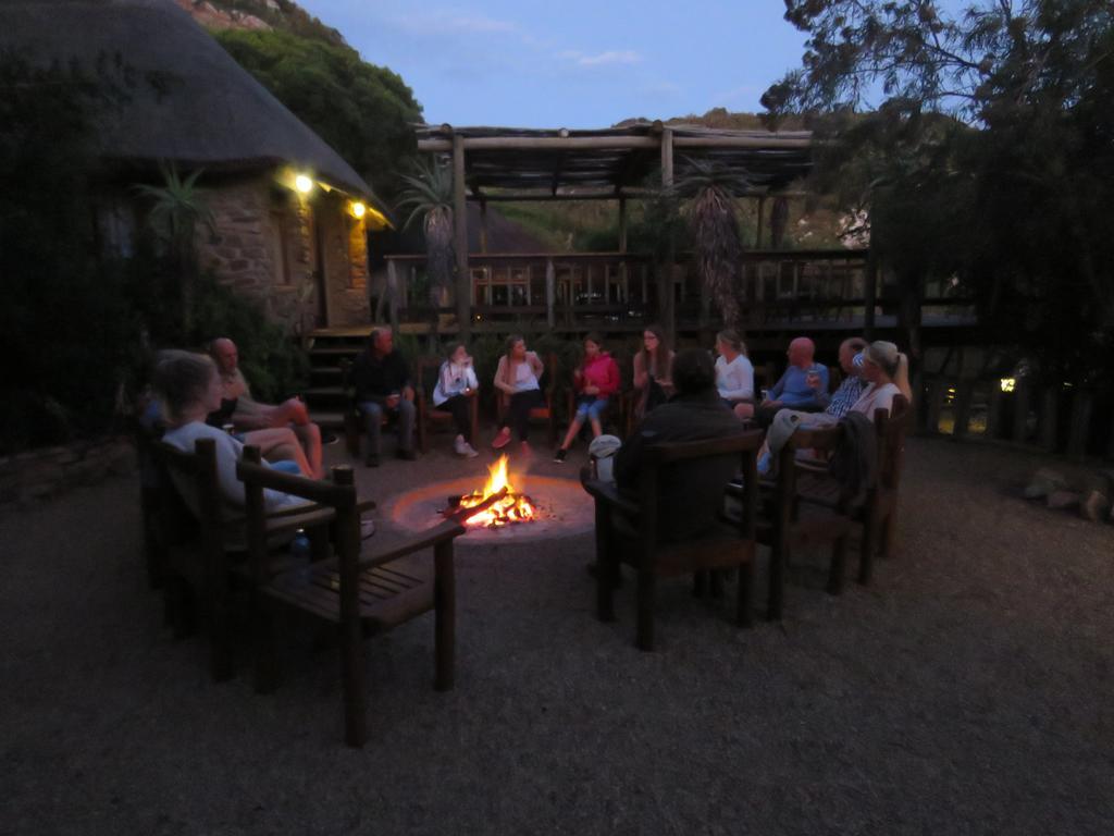 Woodbury Lodge - Amakhala Game Reserve Bagian luar foto