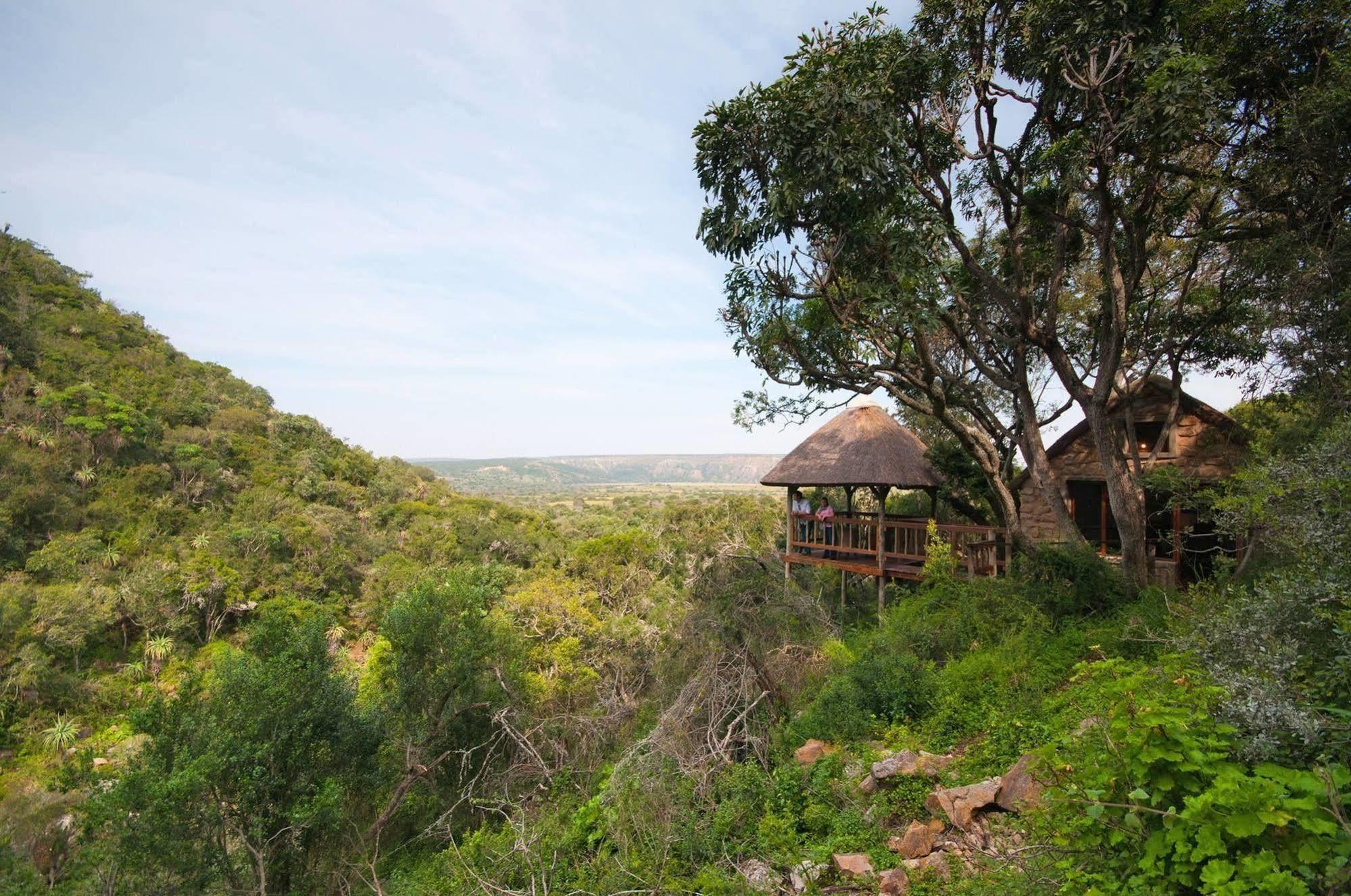 Woodbury Lodge - Amakhala Game Reserve Bagian luar foto