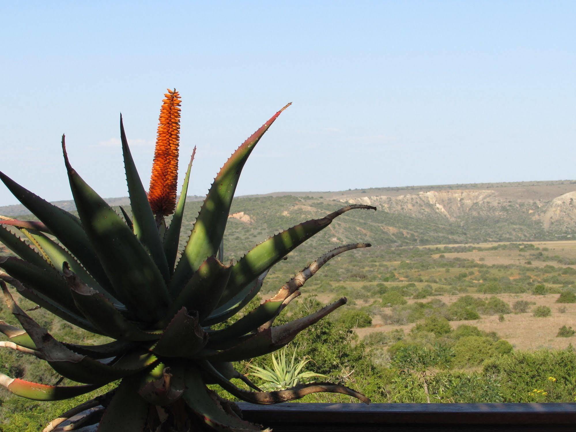 Woodbury Lodge - Amakhala Game Reserve Bagian luar foto