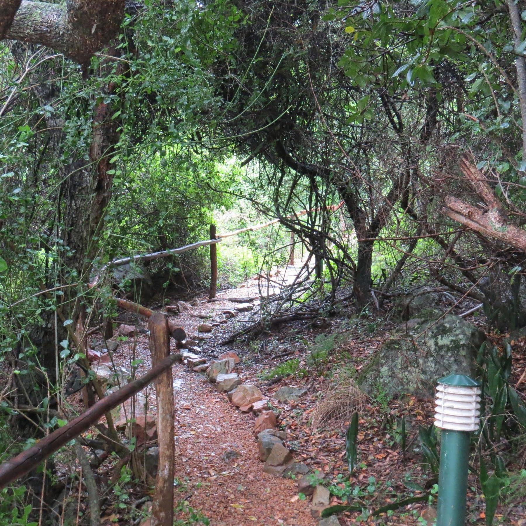 Woodbury Lodge - Amakhala Game Reserve Bagian luar foto